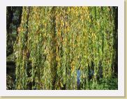 2005-10-28 13-38-55 DeYeuro 37,6mm 1_160_eme F6,3 * 2048 x 1536 * (1.96MB)